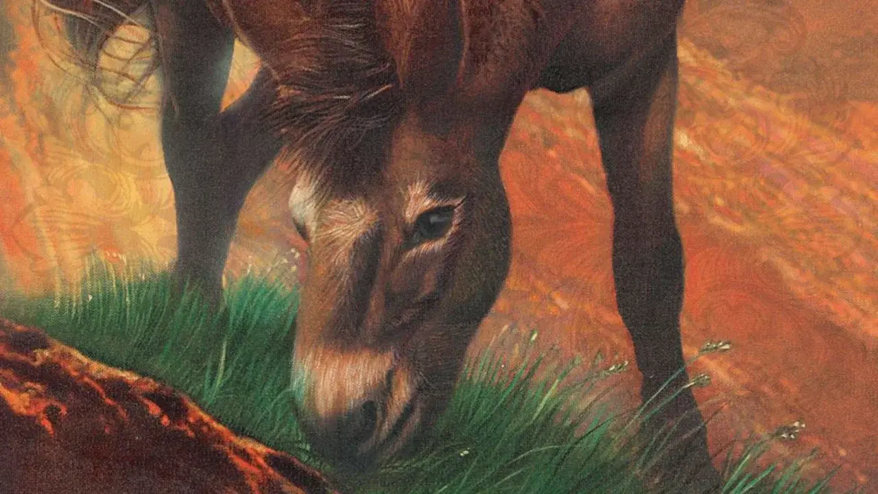Brighty of the Grand Canyon