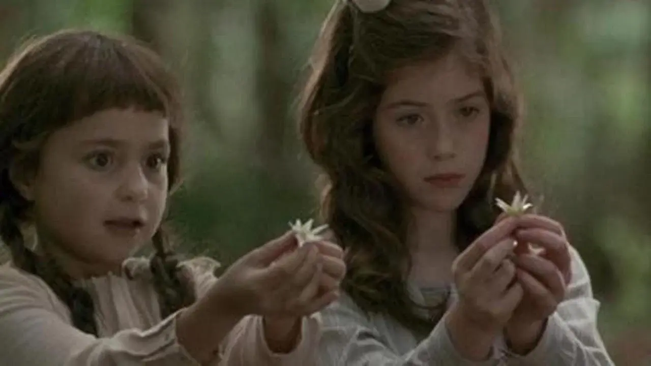 Photographing Fairies