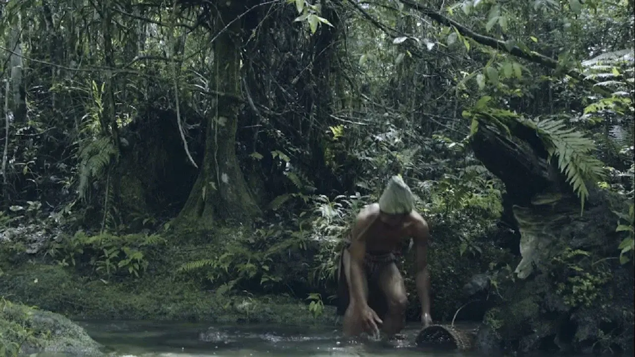 Wailings in the Forest