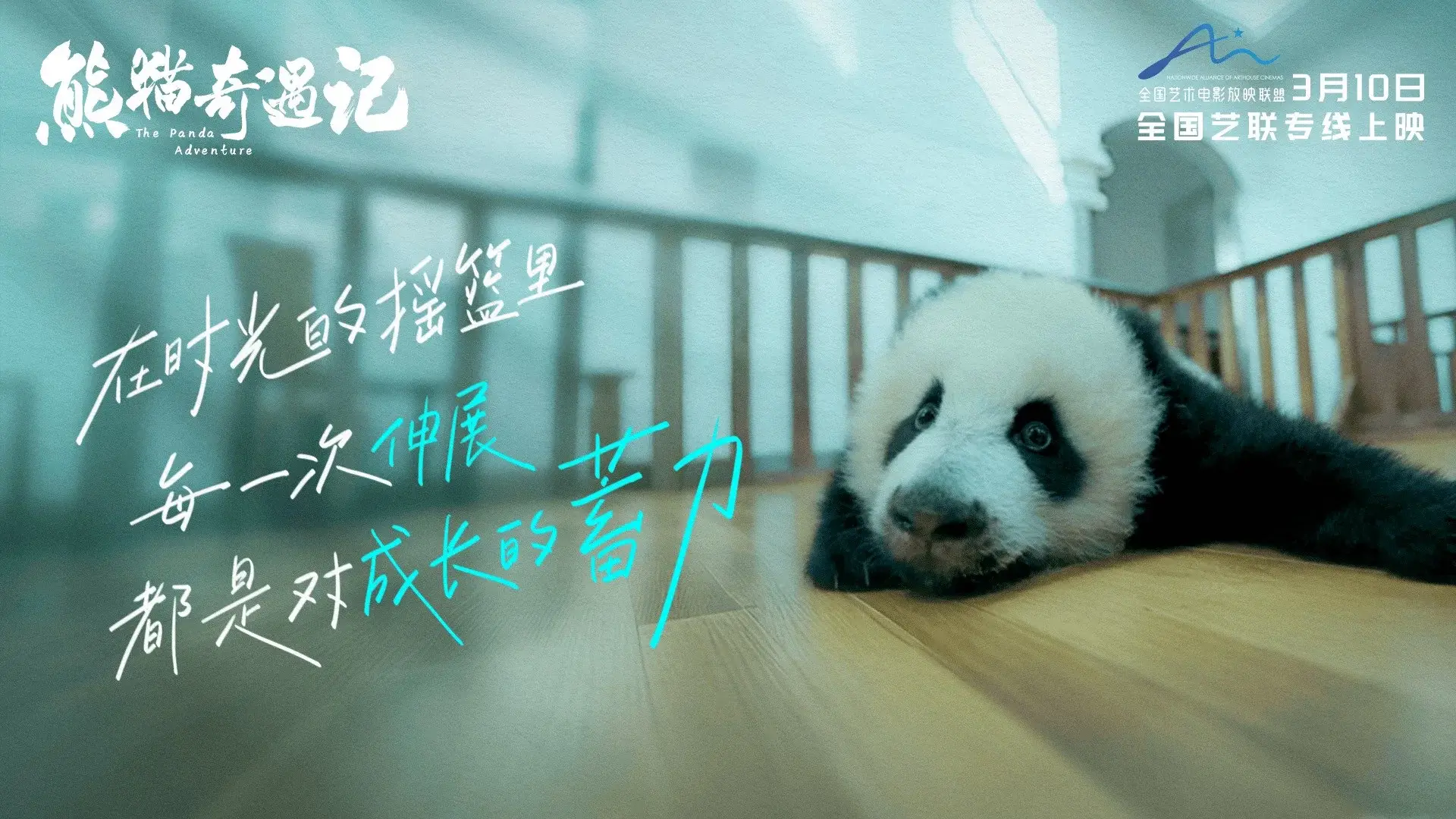The Panda Adventure
