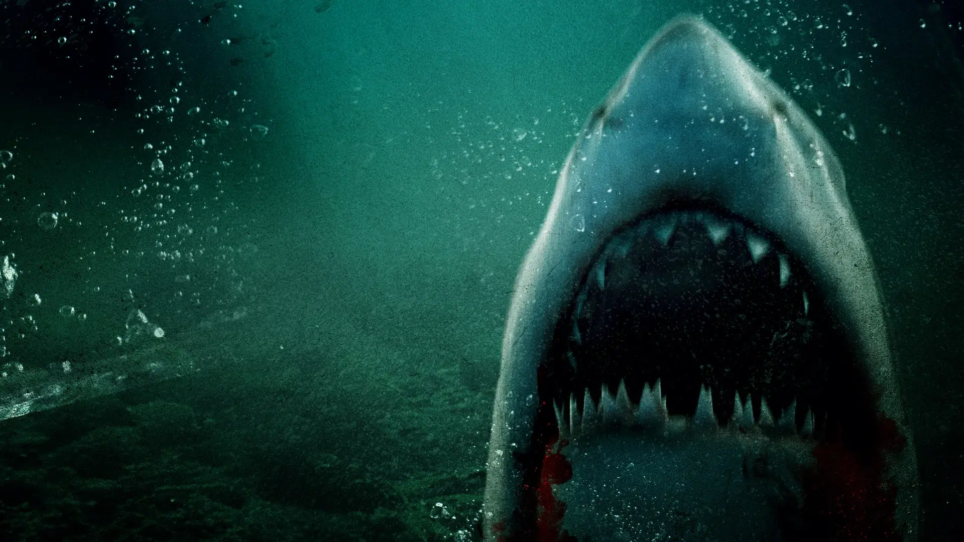 Lone Star Shark 2