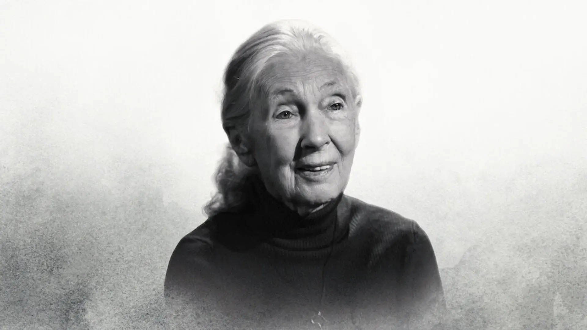 Famous Last Words: Dr. Jane Goodall