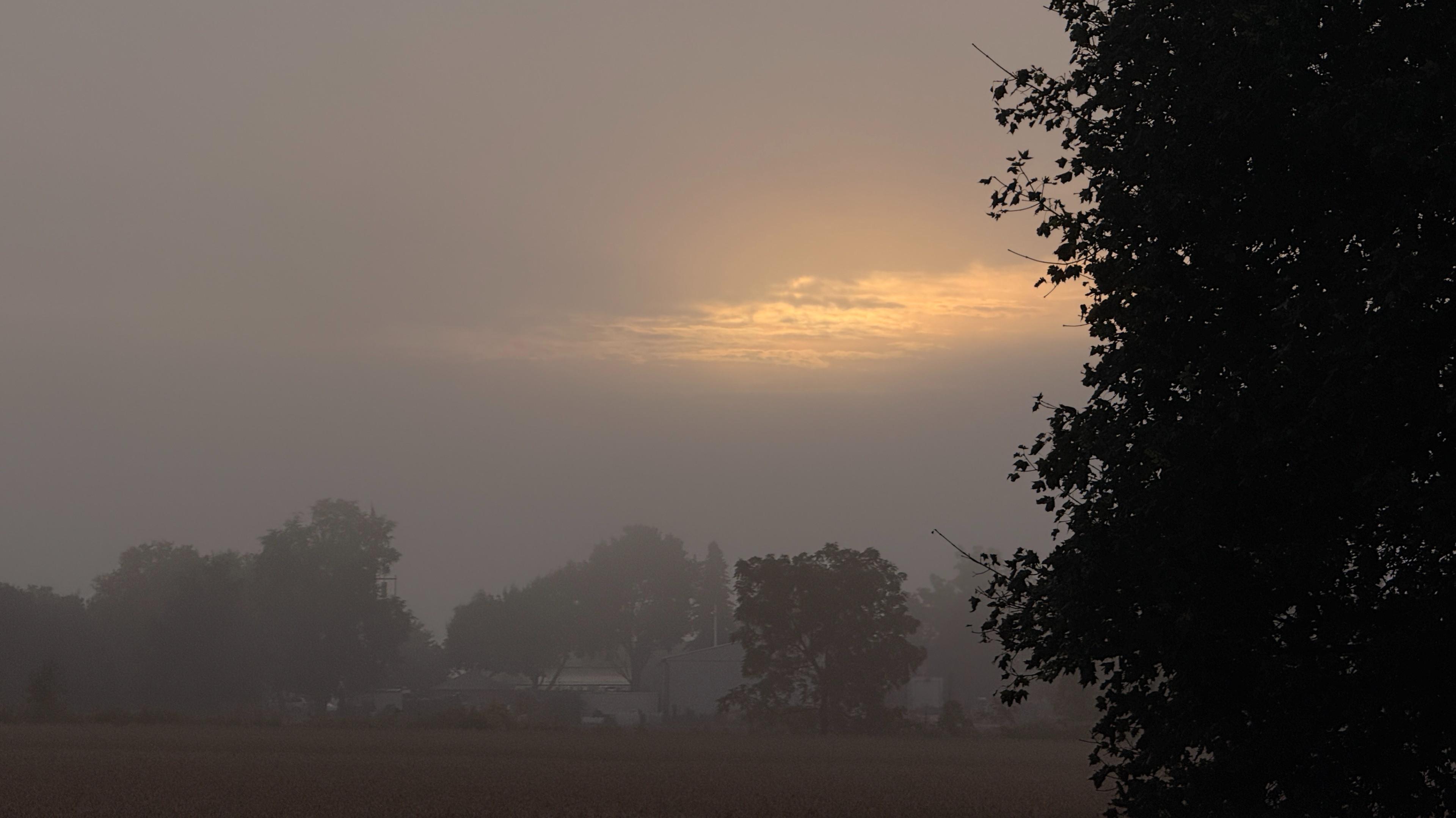 The Fog