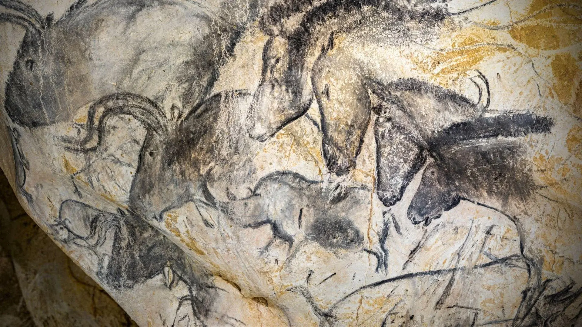 Grotte Chauvet - Dans les pas des artistes de la Préhistoire