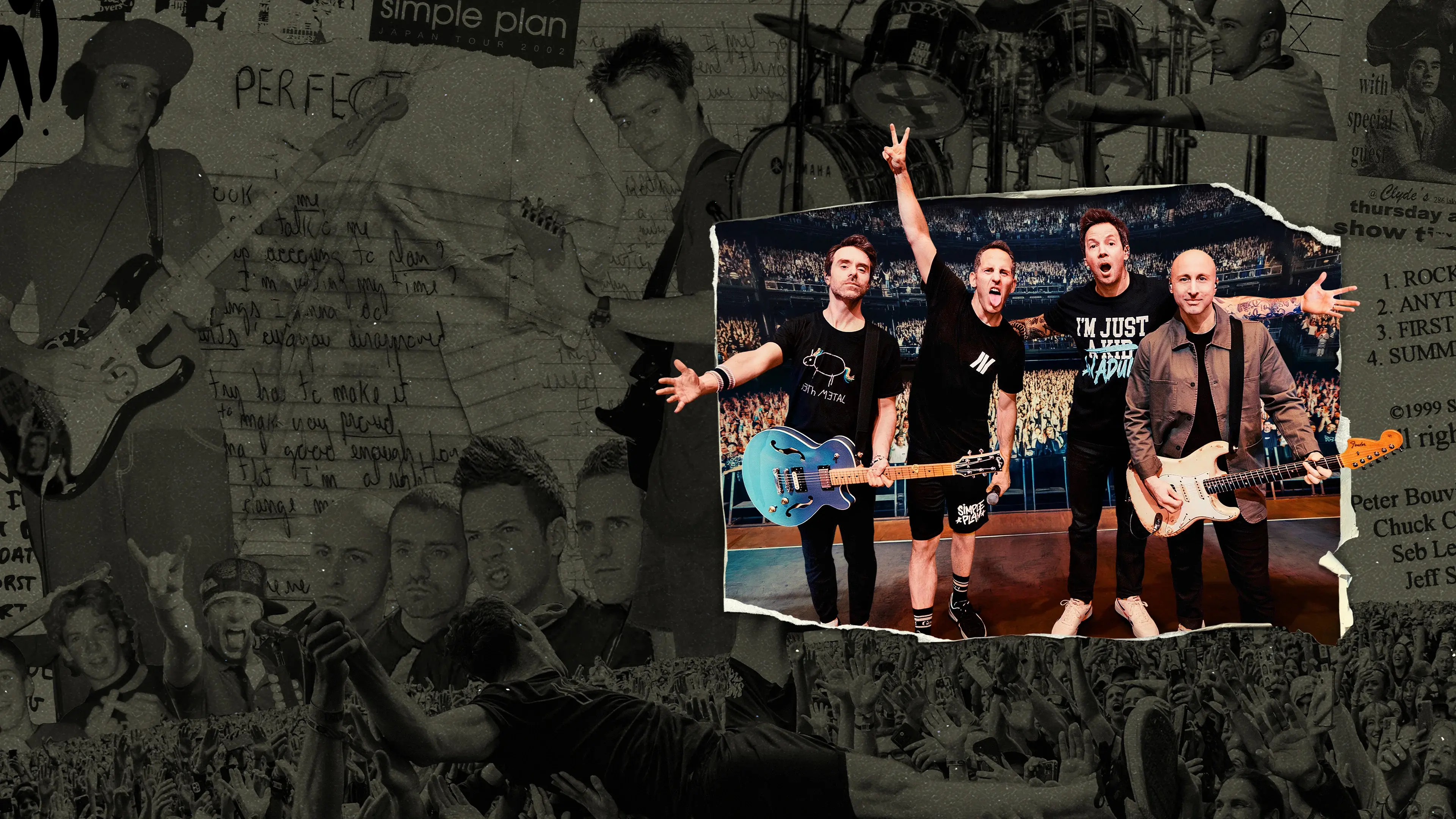 Simple Plan: The Kids in the Crowd