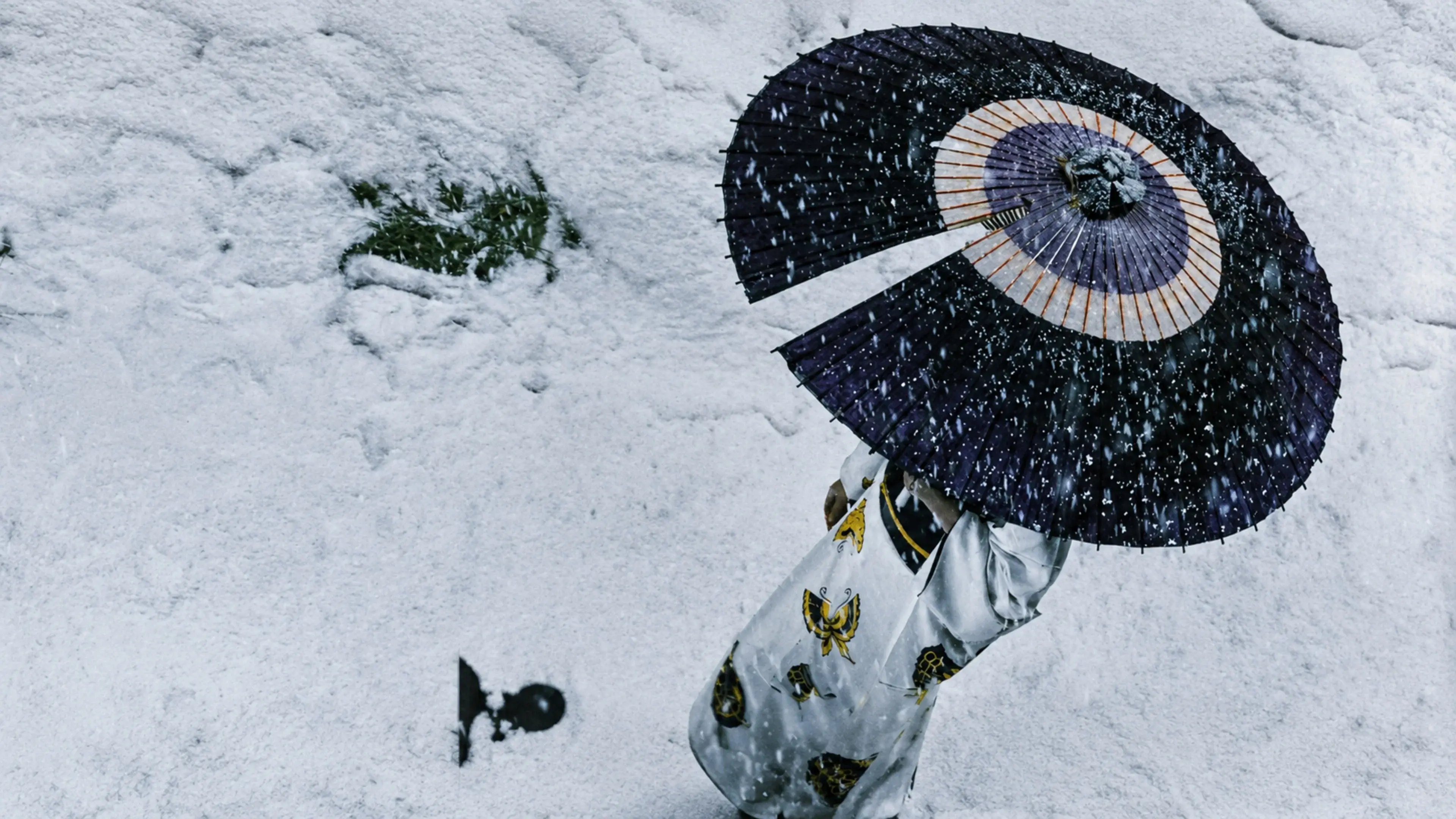 Lady Snowblood