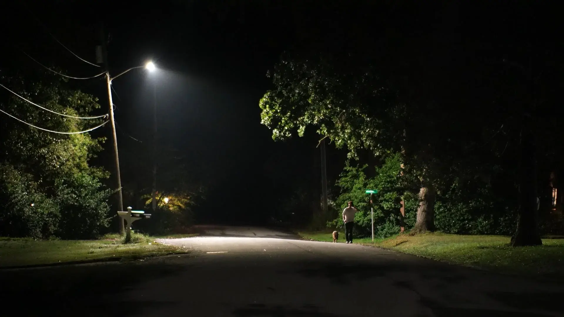 Night Walk