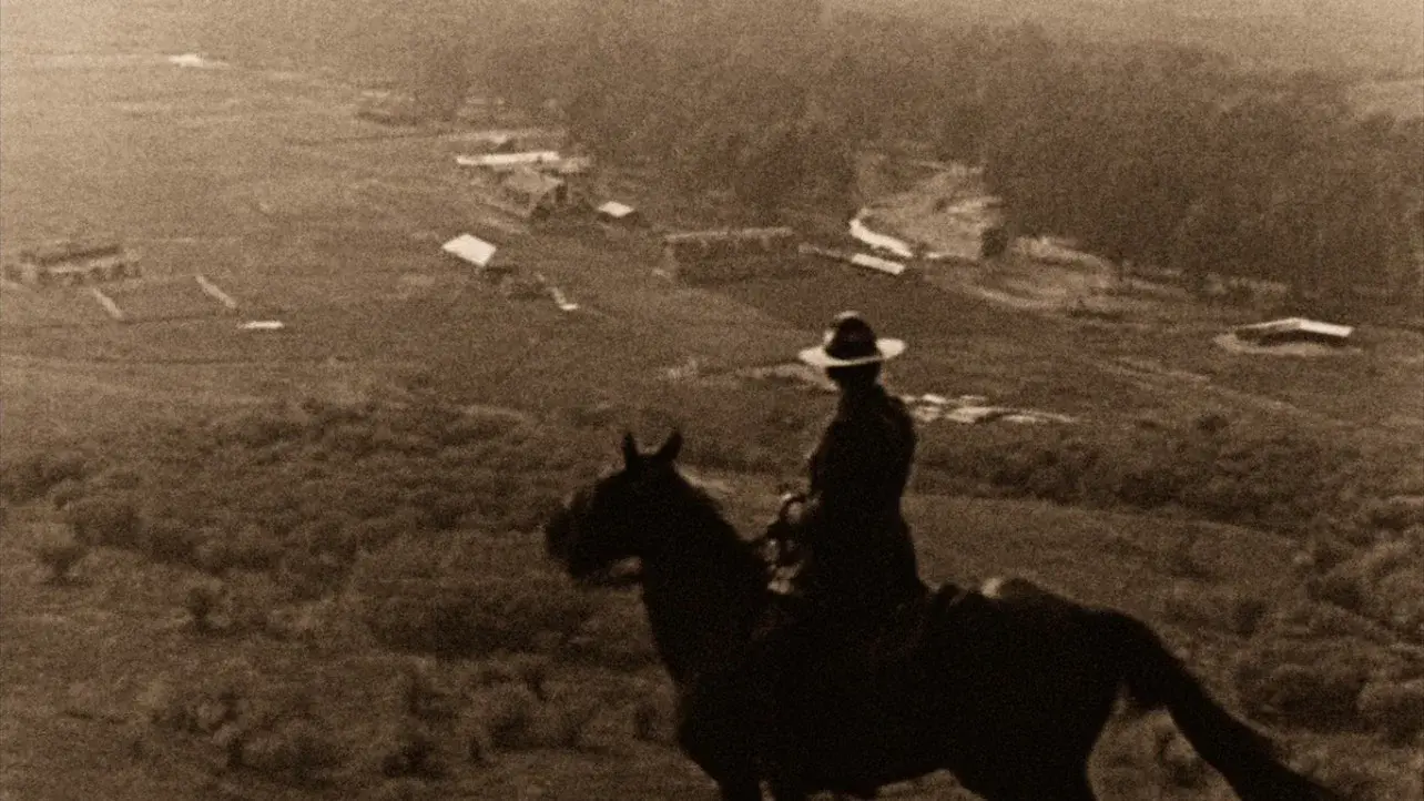 The Calgary Stampede