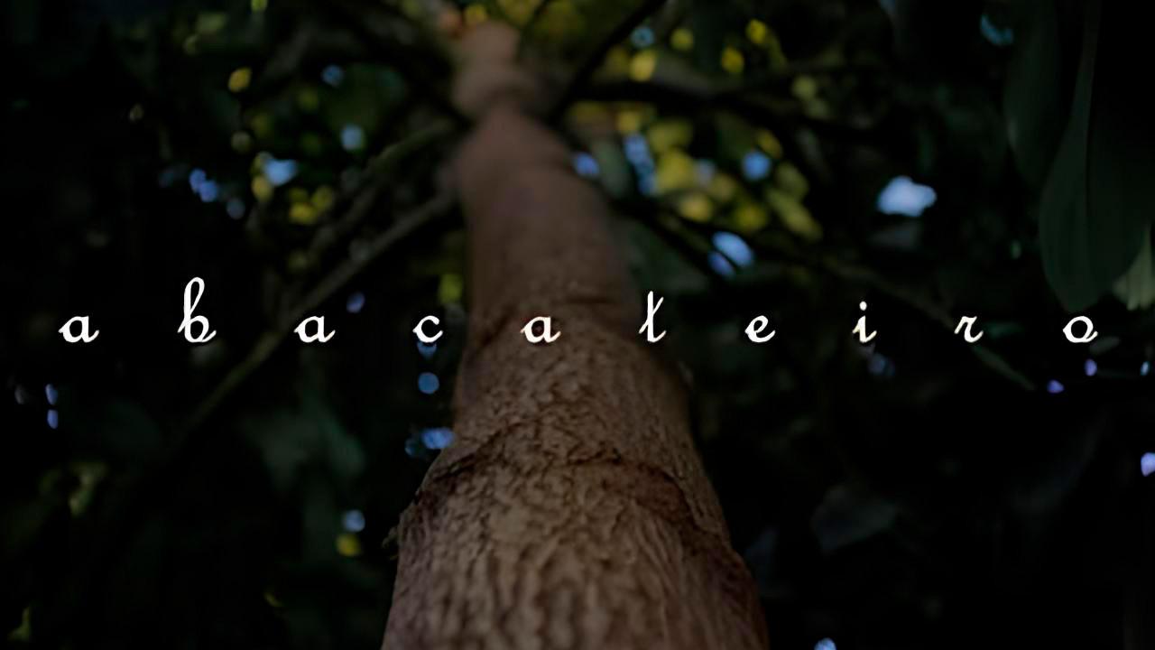 Abacateiro
