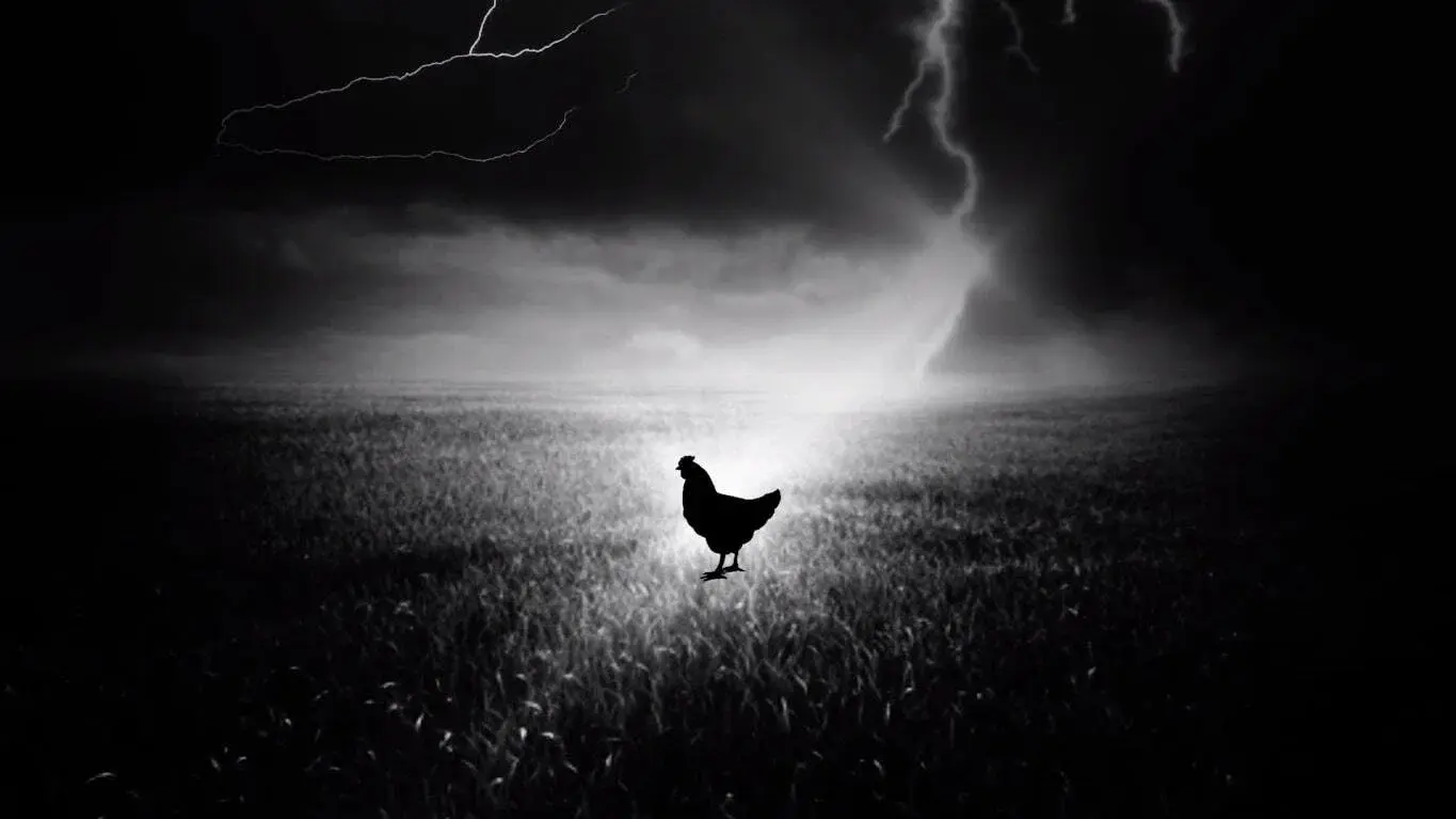 Holy Hen