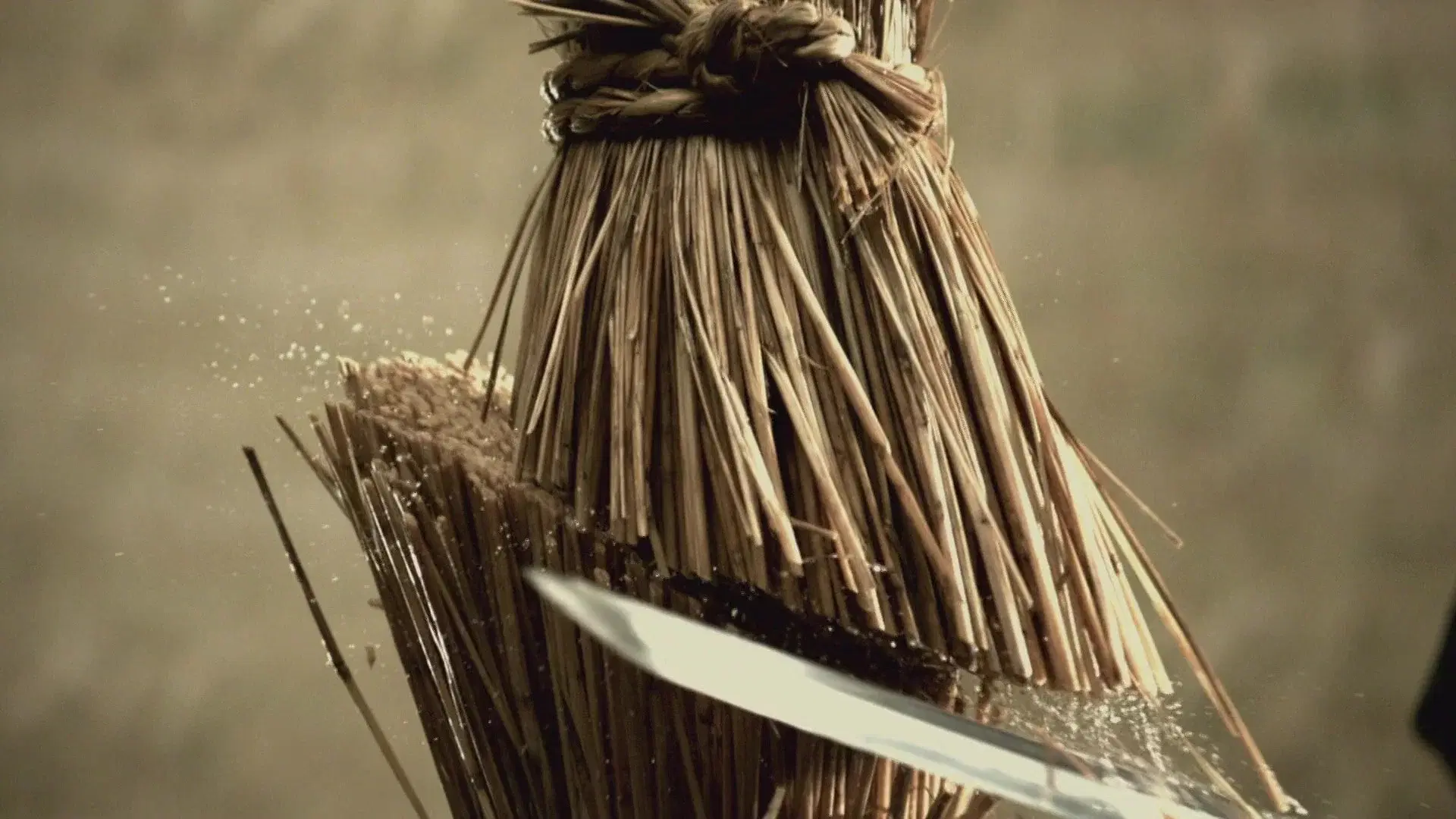 Love or Duty: Samurai Rebellion