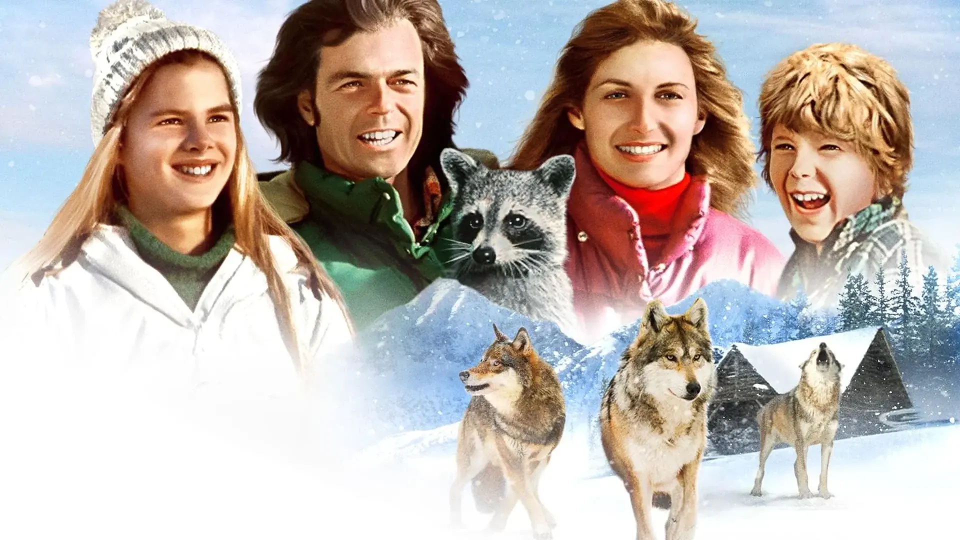 The Further Adventures of the Wilderness Family