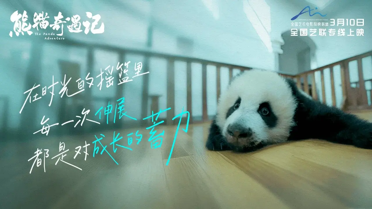 The Panda Adventure