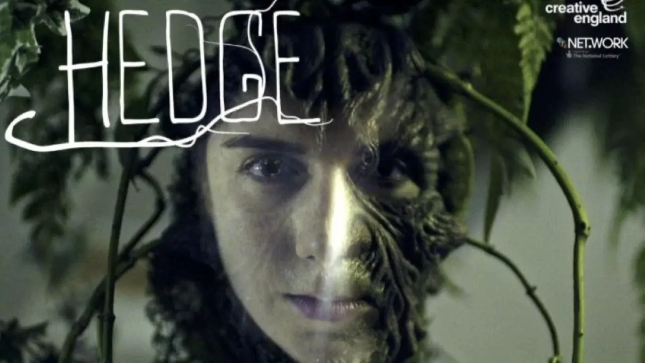 Hedge
