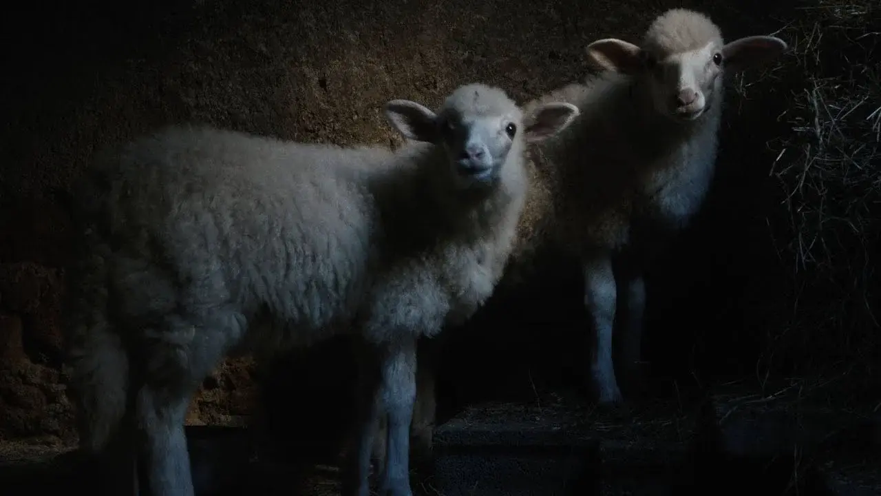 Agnus Dei
