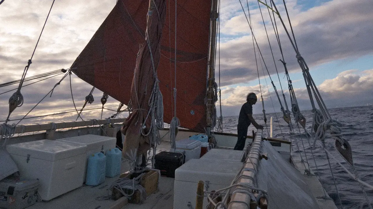 The Navigator