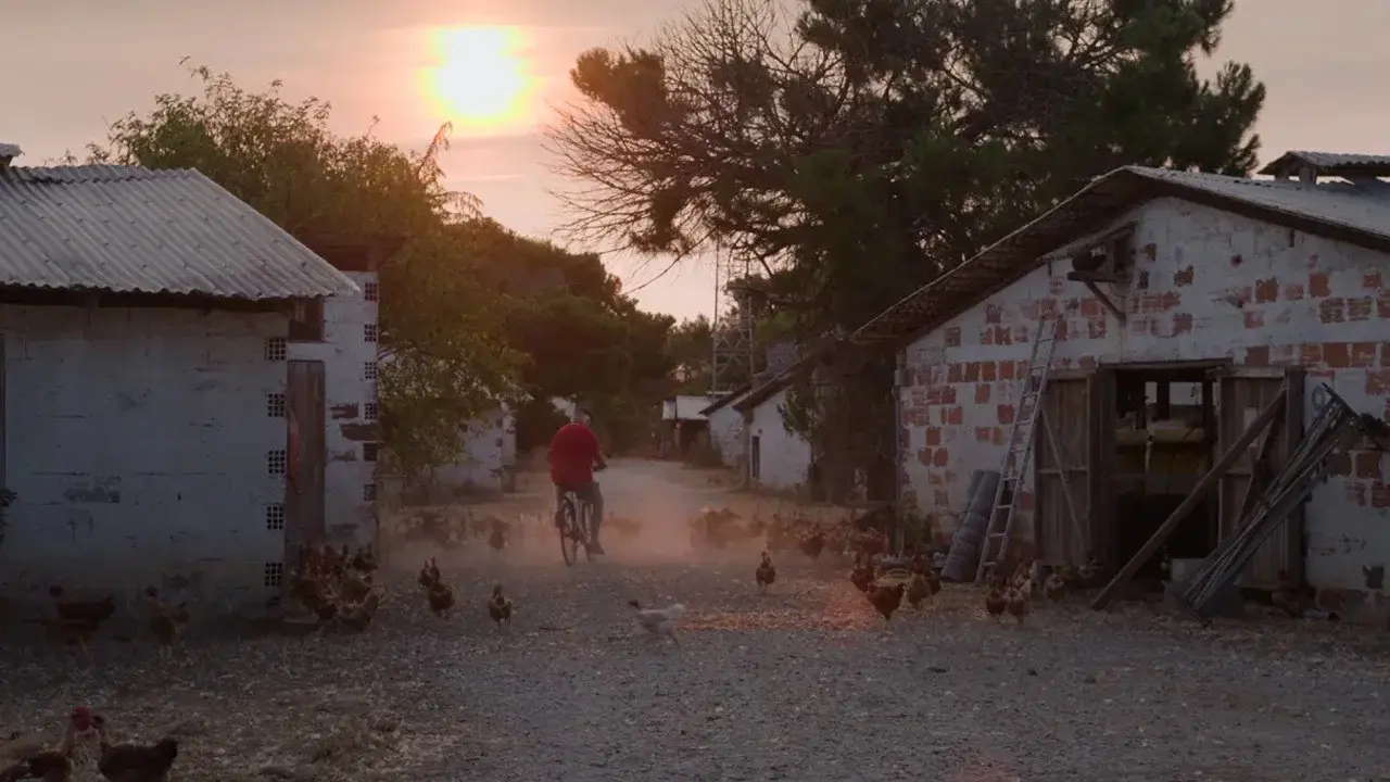 Élever au grain