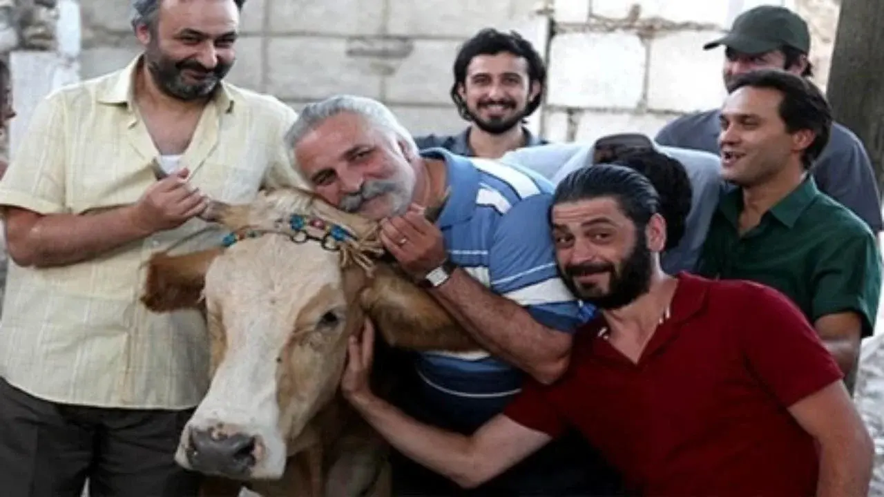 The Exiled Cow