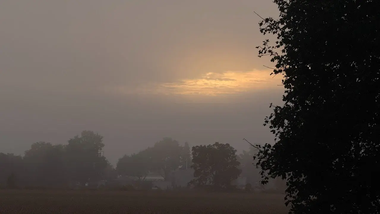 The Fog