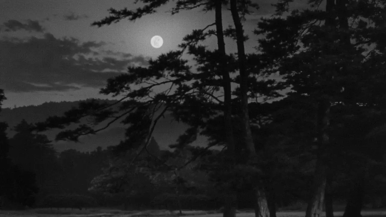 The Moon Has Risen
