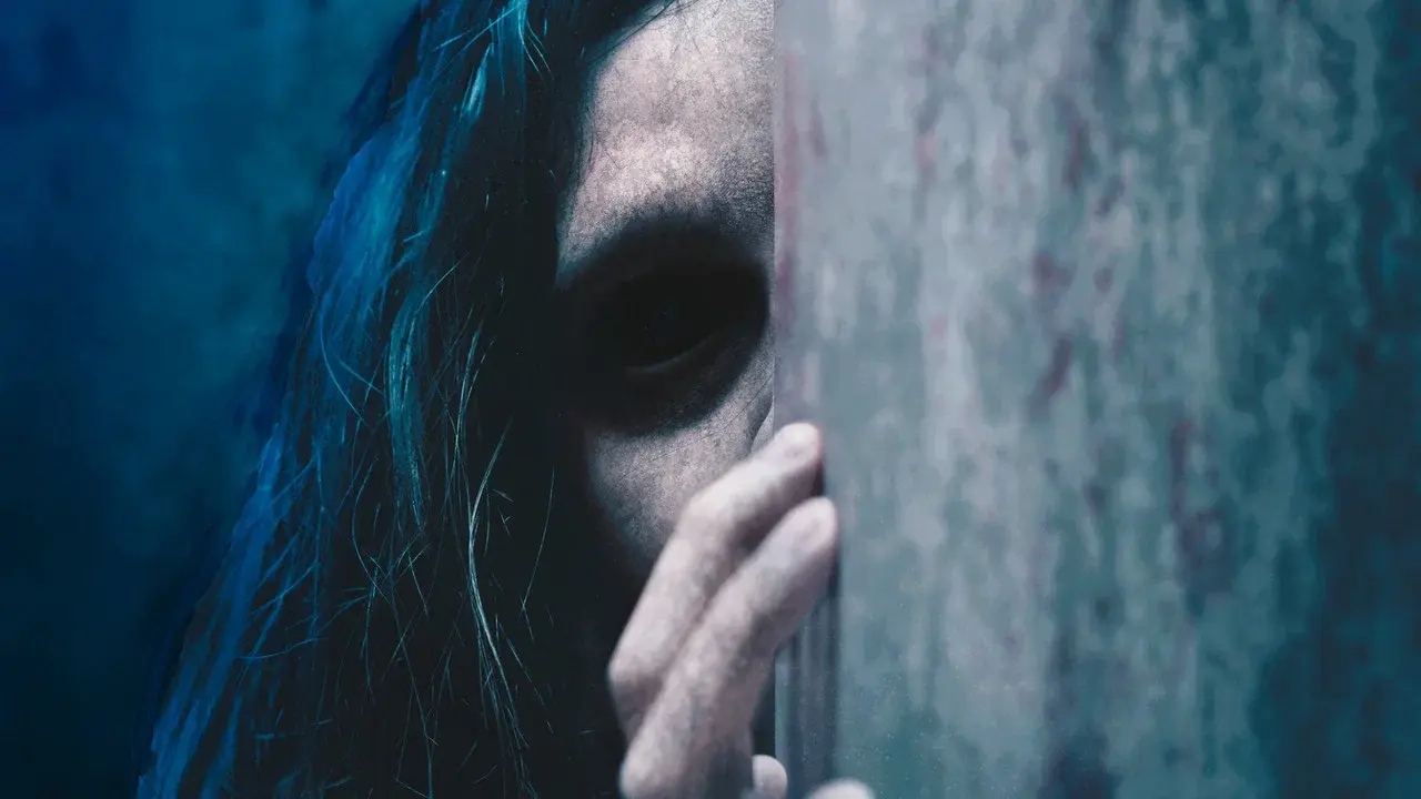 The Visitor