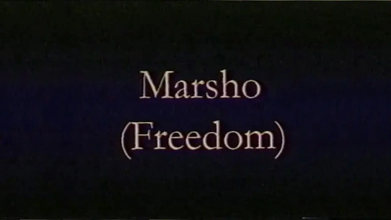 Freedom