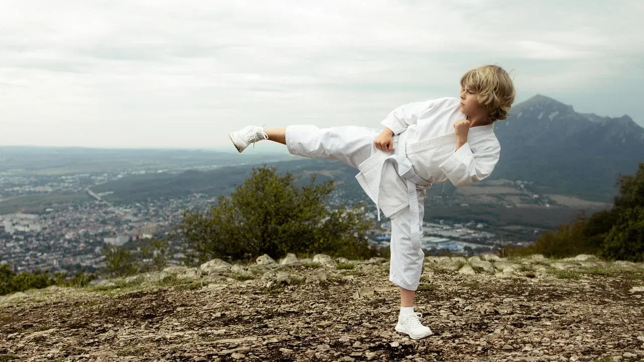 The Next Karate Kid