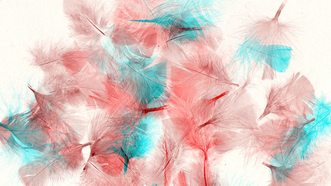 Les oiseaux