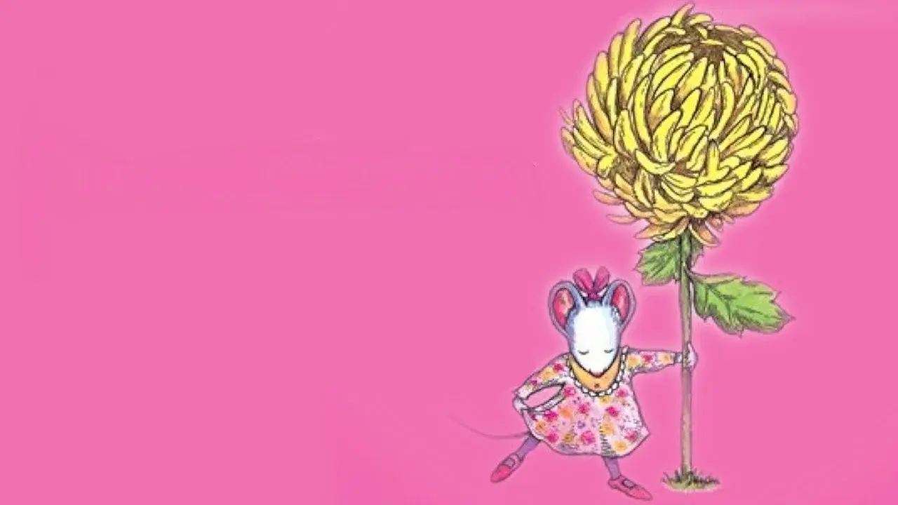 Chrysanthemum