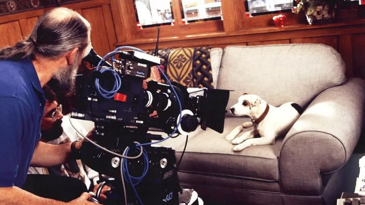 What's the Story, Wishbone?