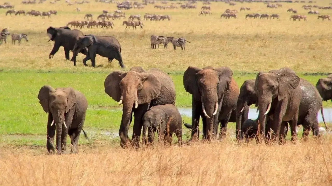 Fascination Africa 3D