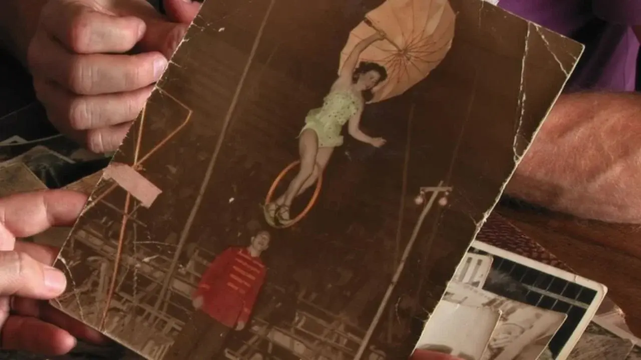 Cirquera