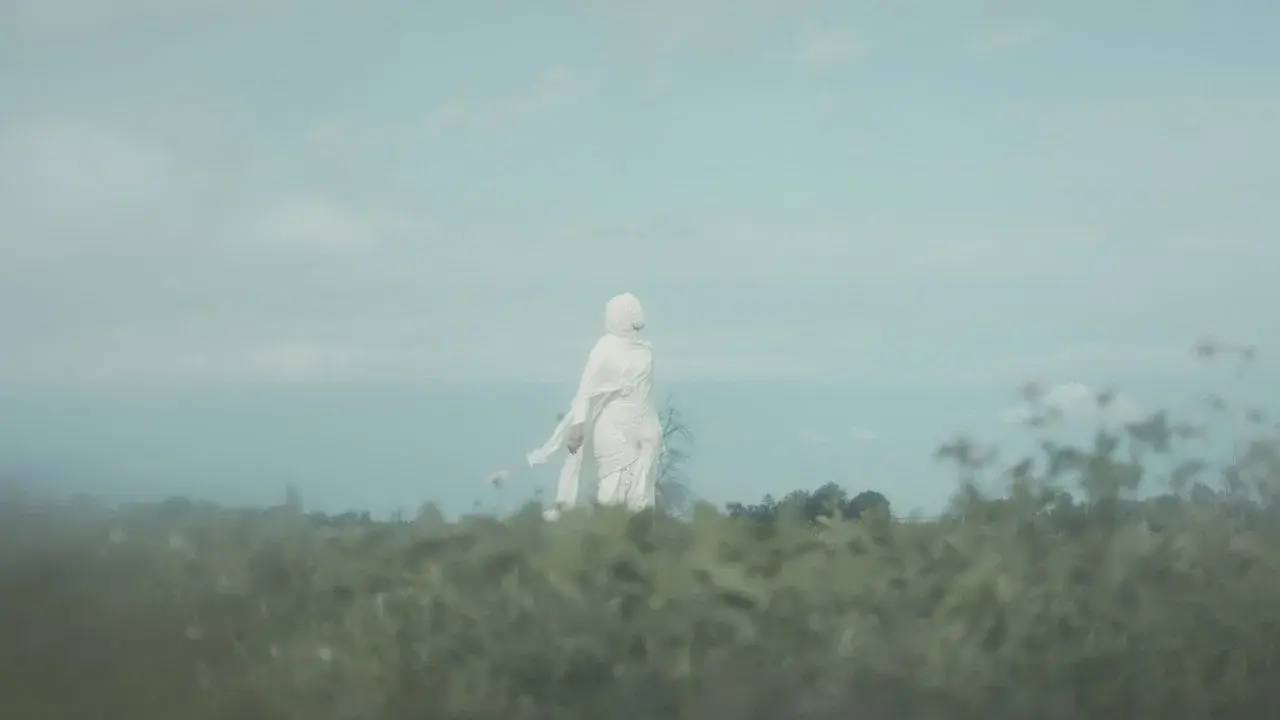 Faceless