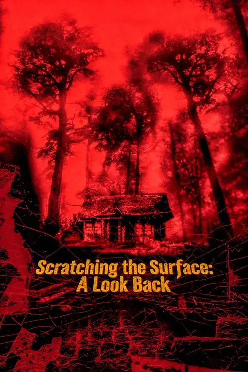 Scratching the Surface: A Look Back