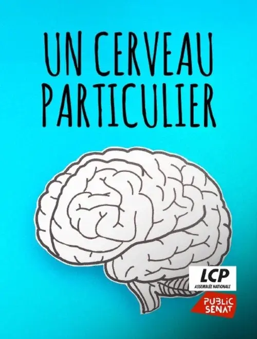 Un cerveau particulier