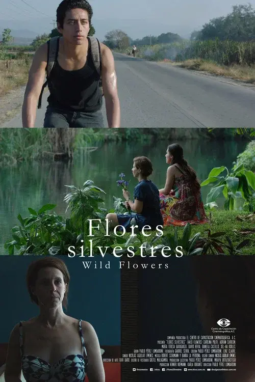 Wild Flowers