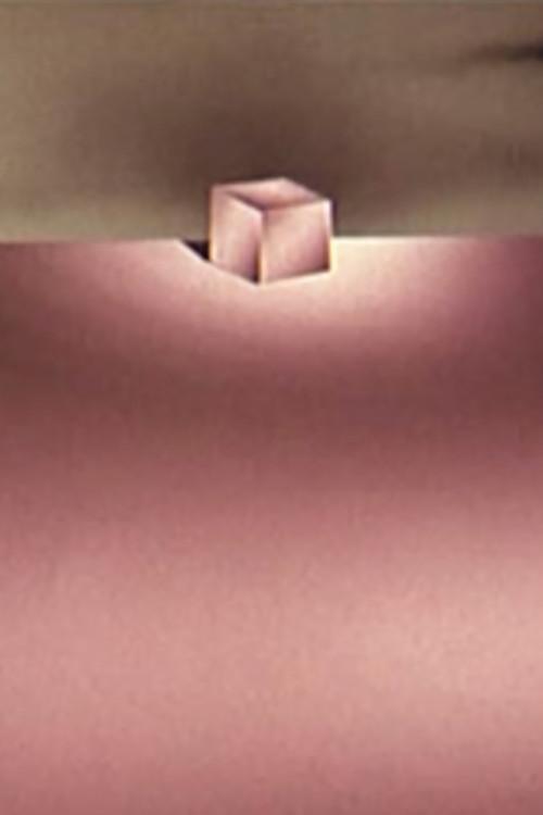 The Step