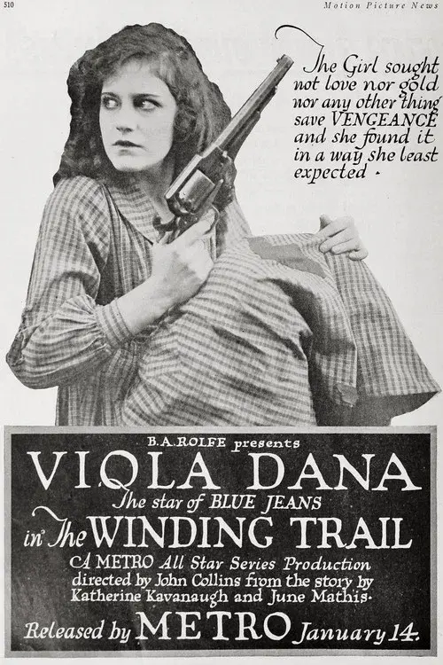 The Winding Trail