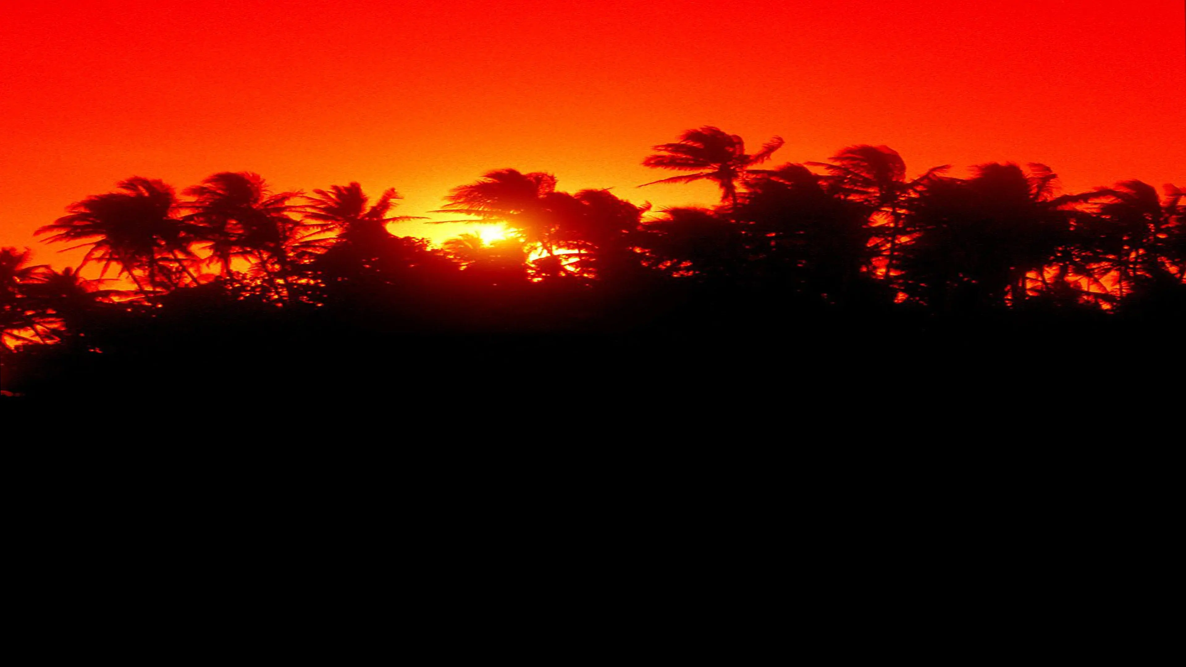 The Making of 'Jurassic Park'