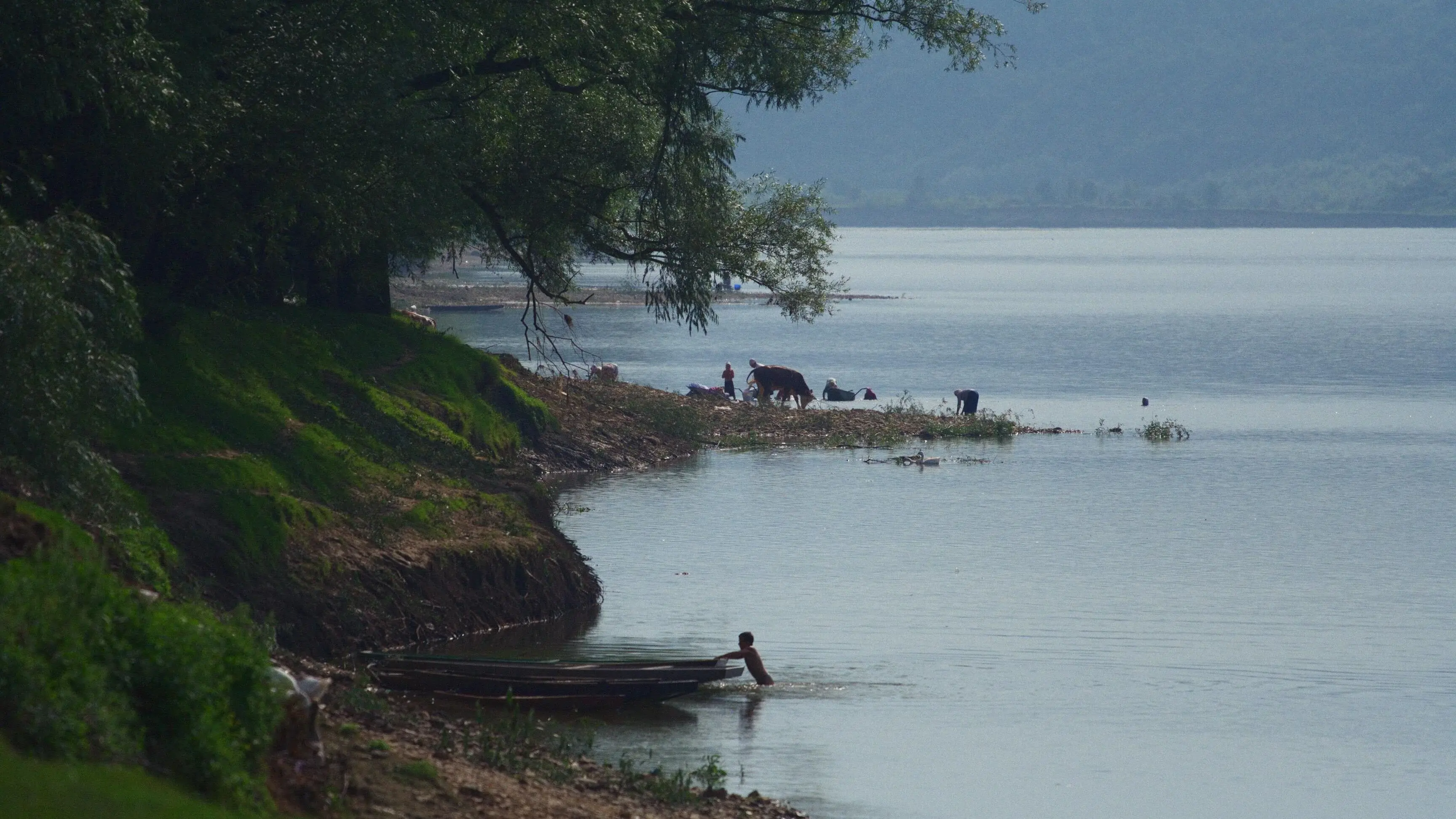 Silent Flood