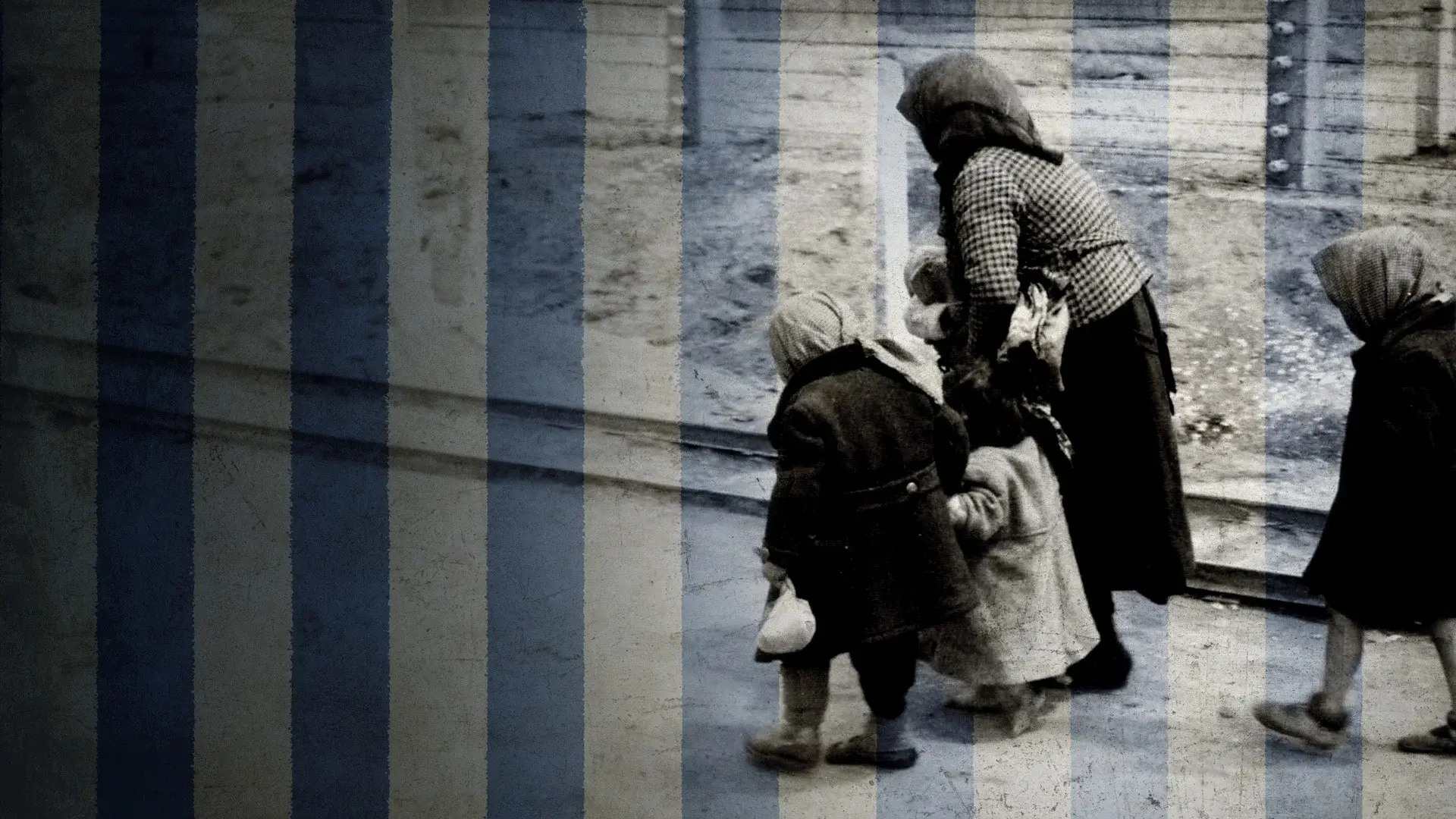 Auschwitz - One Day
