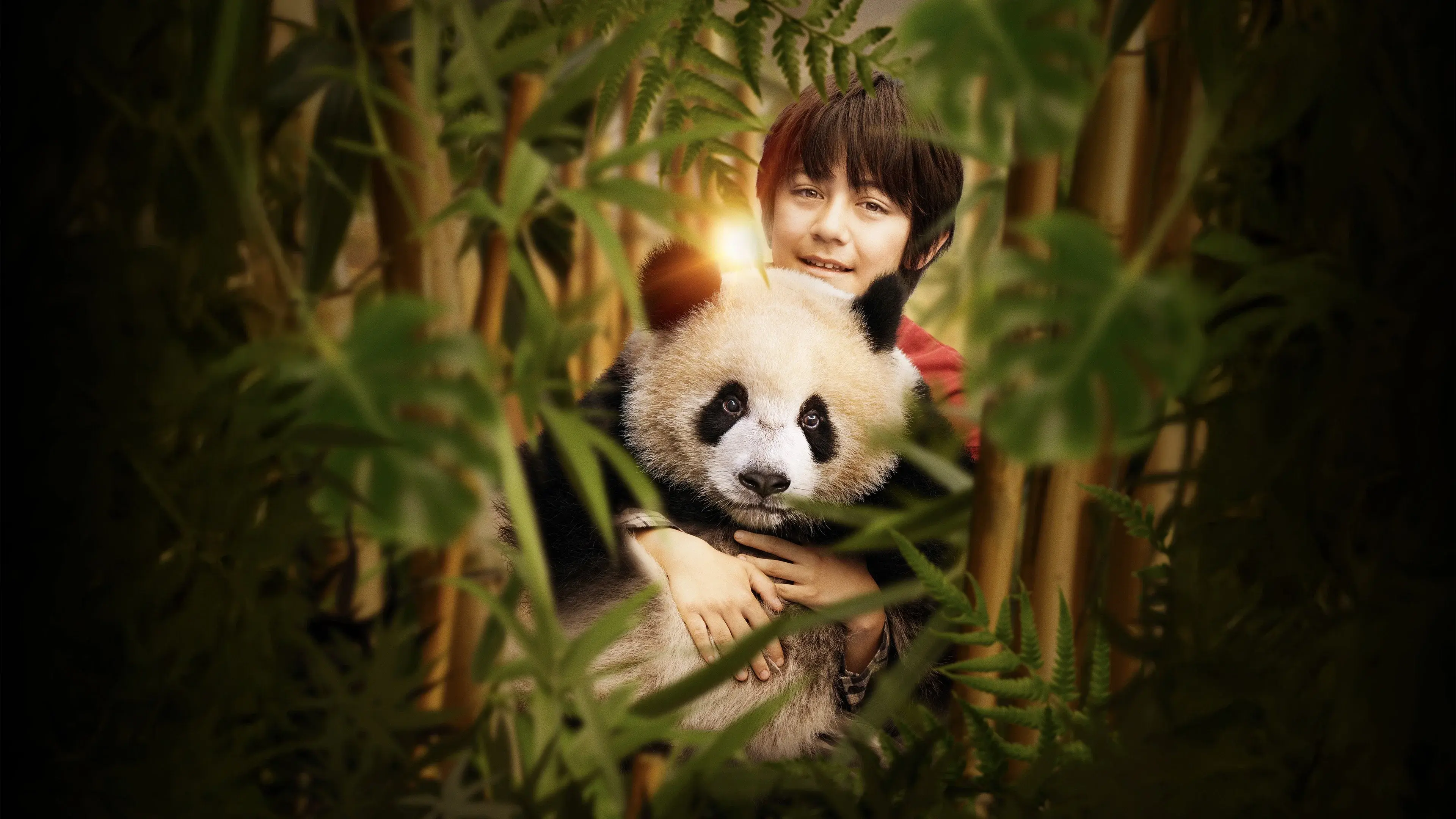 Moon the Panda
