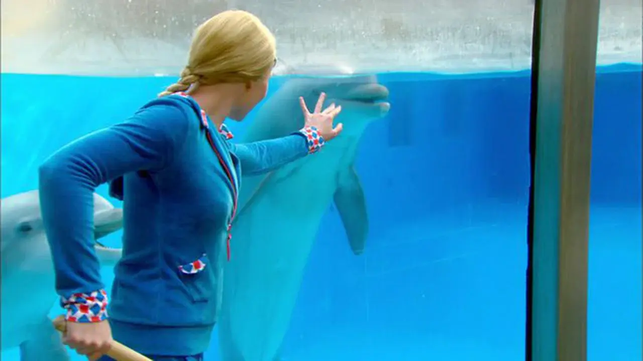 Mega Mindy: The Dolphin Robbery