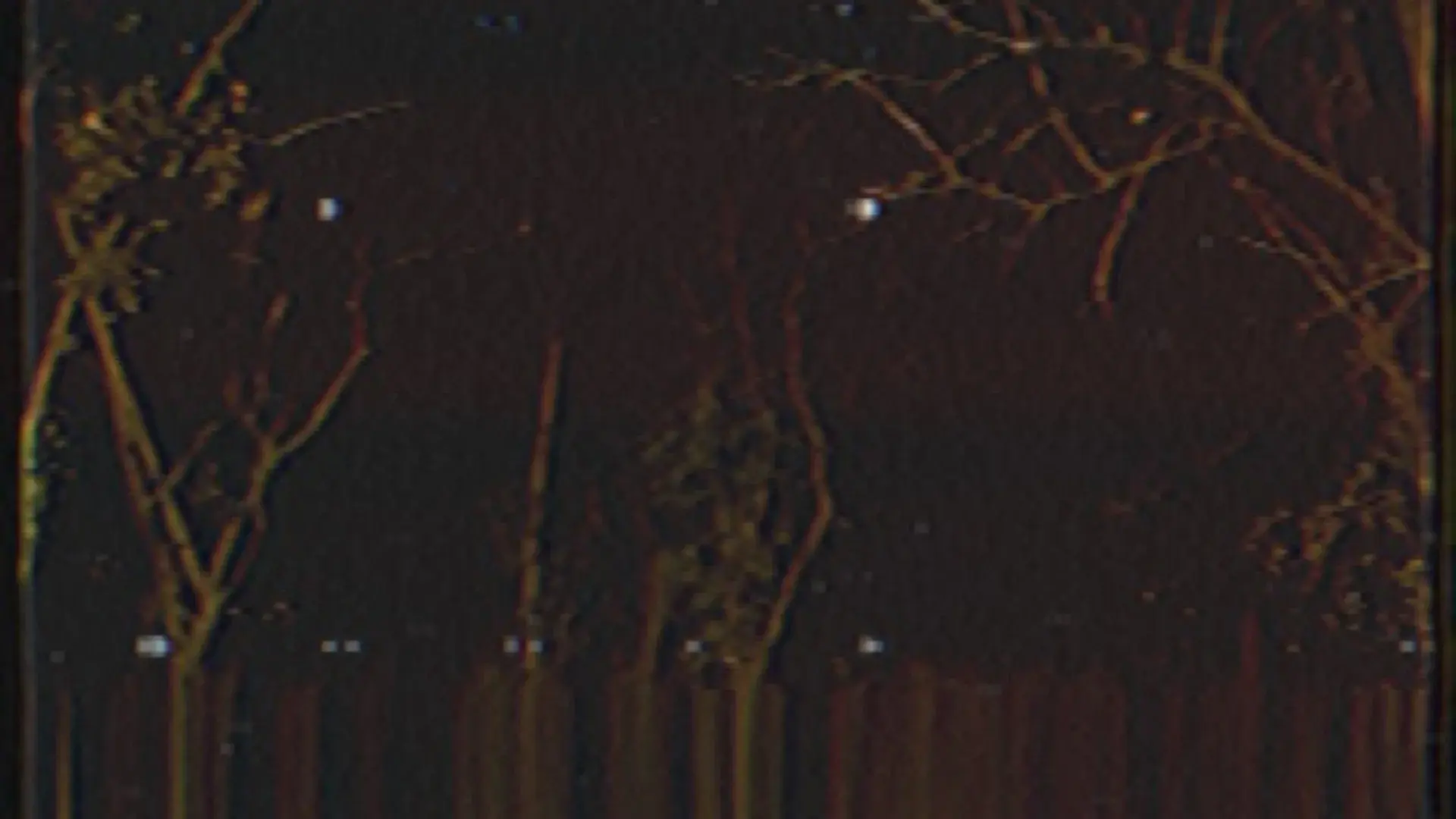 The Forest