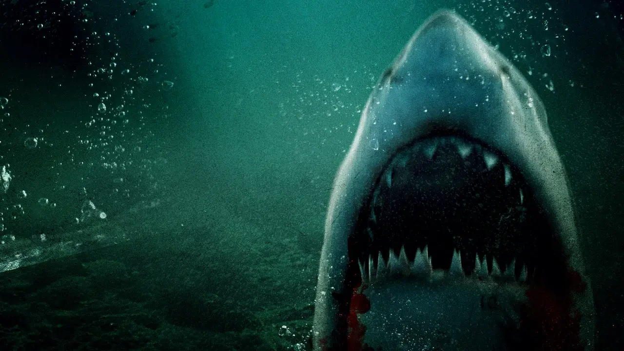 Lone Star Shark 2