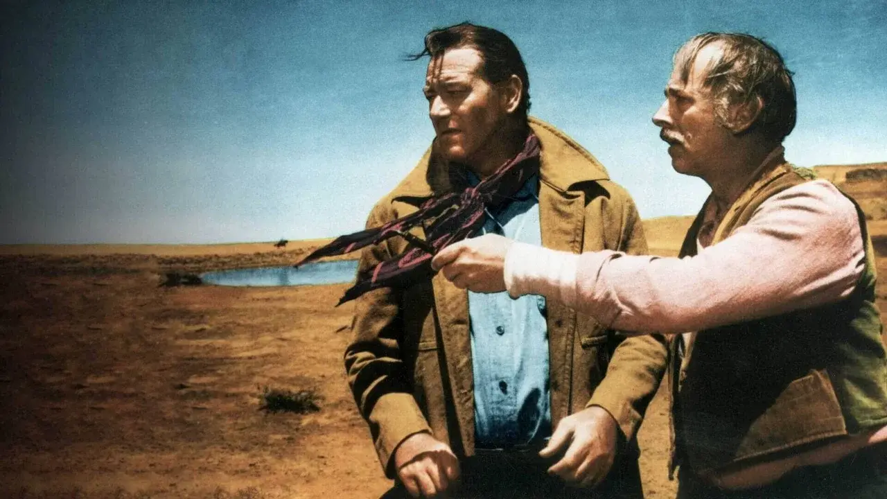 The Searchers