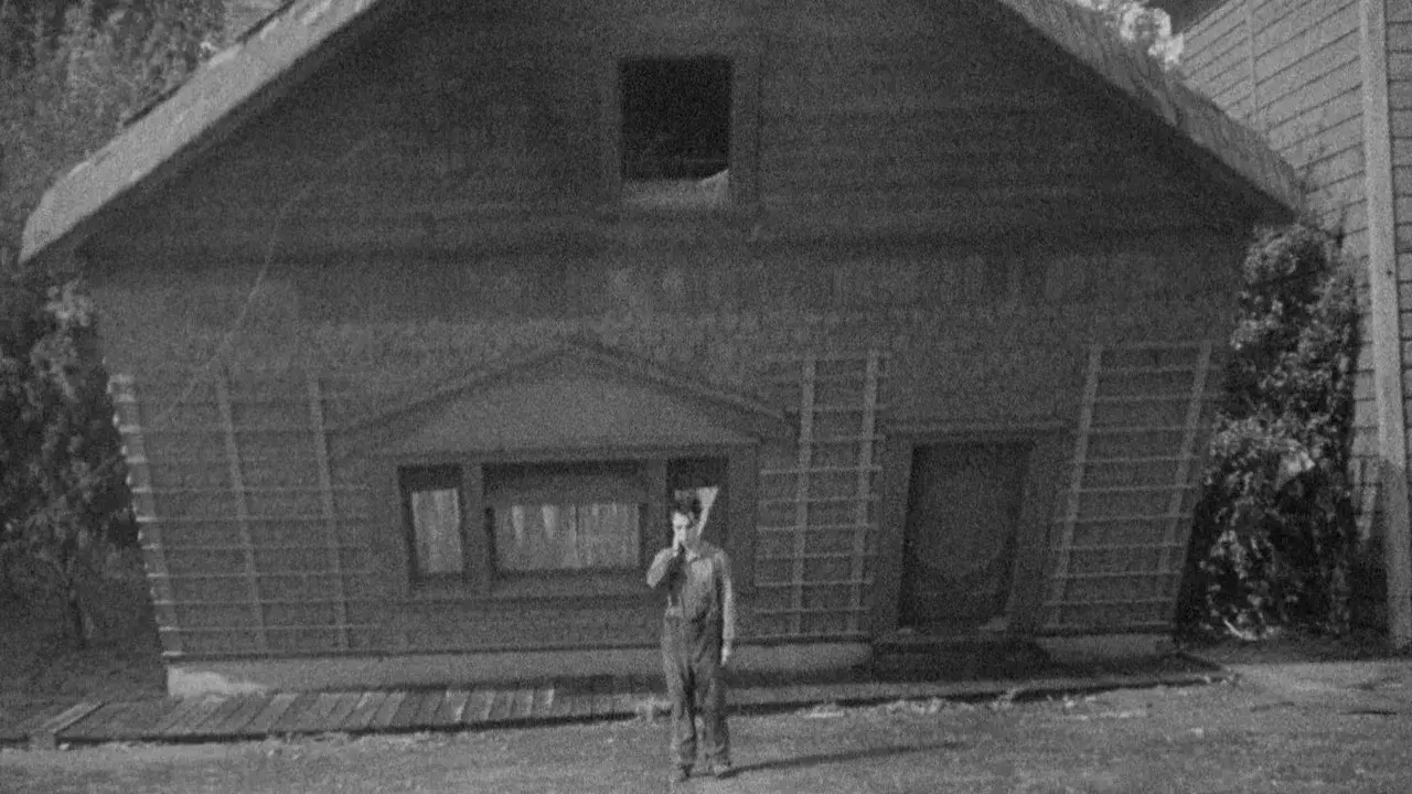 Steamboat Bill, Jr.
