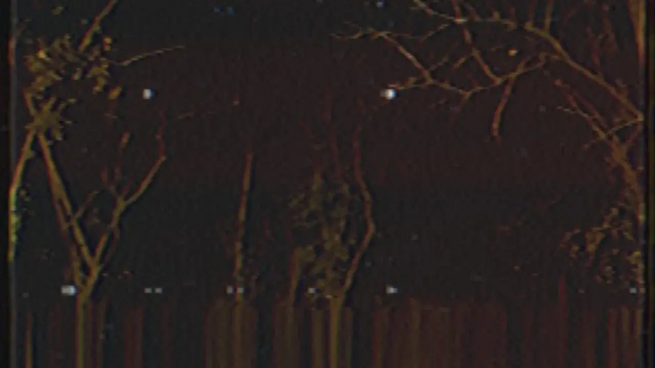 The Forest