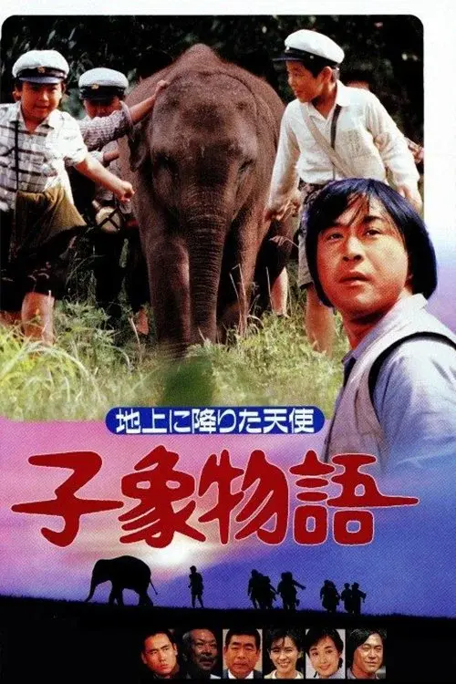 Baby Elephant Story: The angel who descended to earth