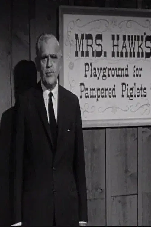 The Remarkable Mrs. Hawk